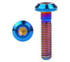 Super 73 rear dropout bolts