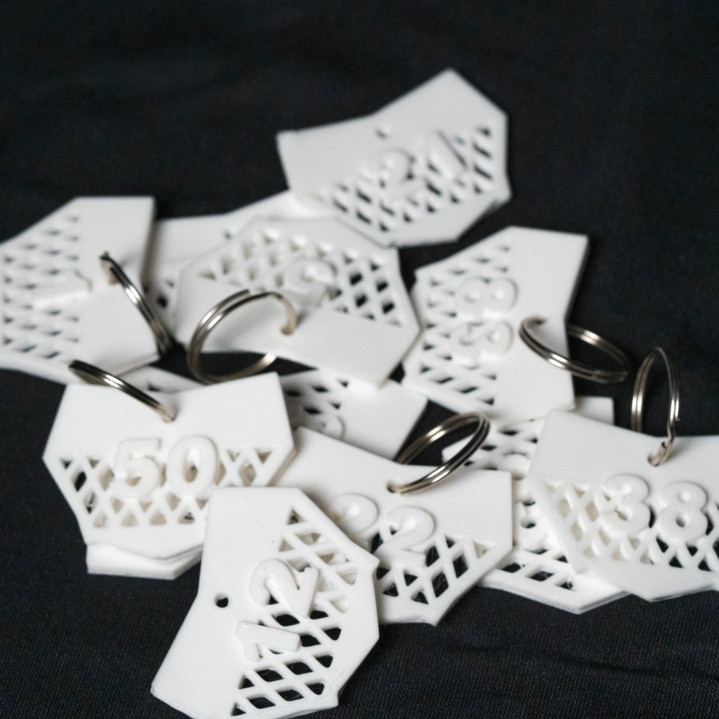 Mini Motocutz Number Plate Keychain with Personalized Number