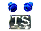Titanium FastAce Forks Axle Bolts