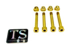 Titanium Rear Suspension/ Linkage  Bolt Kit for E-Ride Pro (4 pcs)