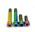 Titanium Motor Bolts - E-Ride Pro (all models)